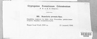 Image Associated With the Occurence